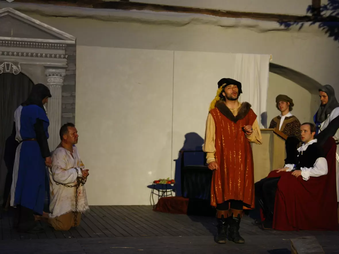 neuburger-schlossfest-mimus