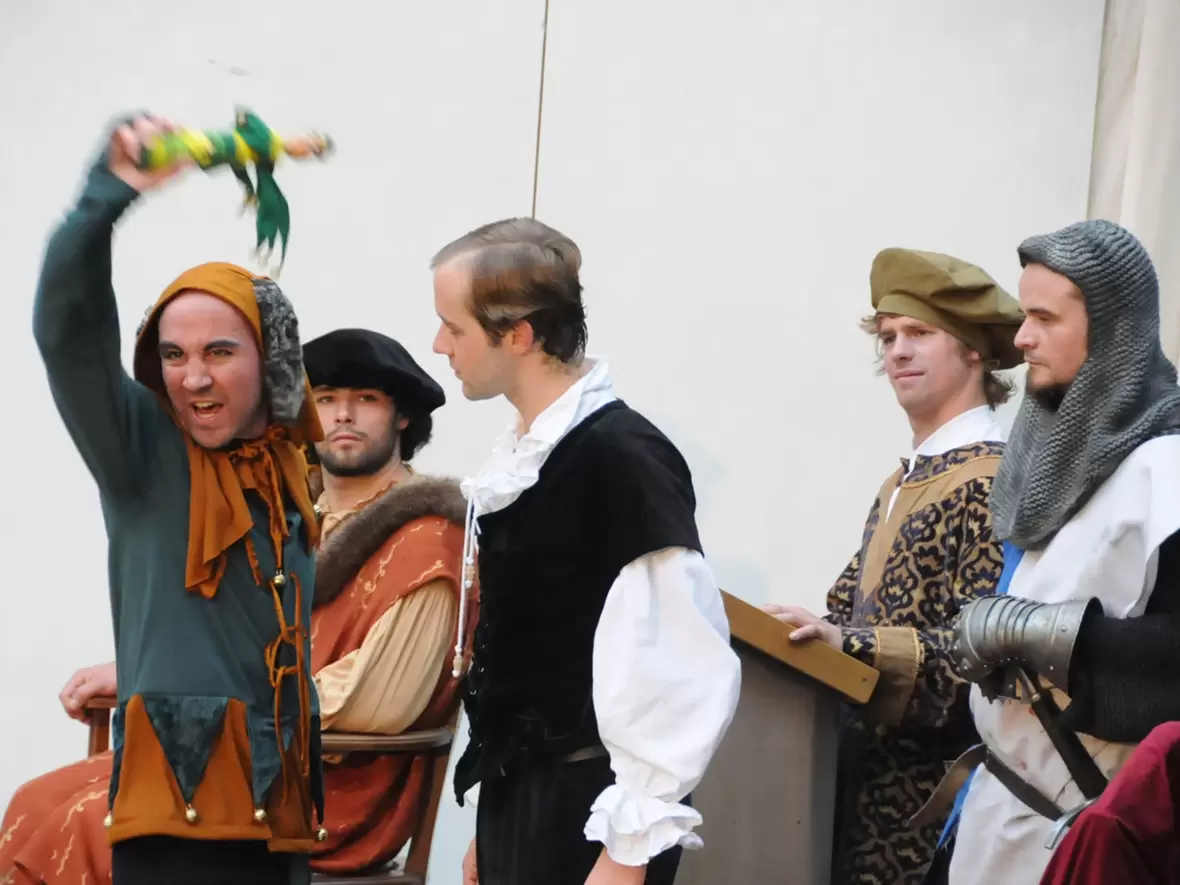 der-narr-im-wortgefecht