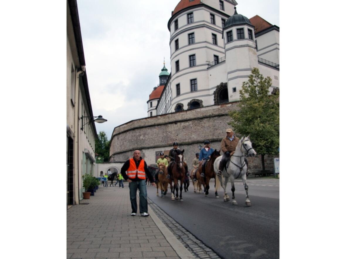 reiter-zurueck-zur-schloesslwiese