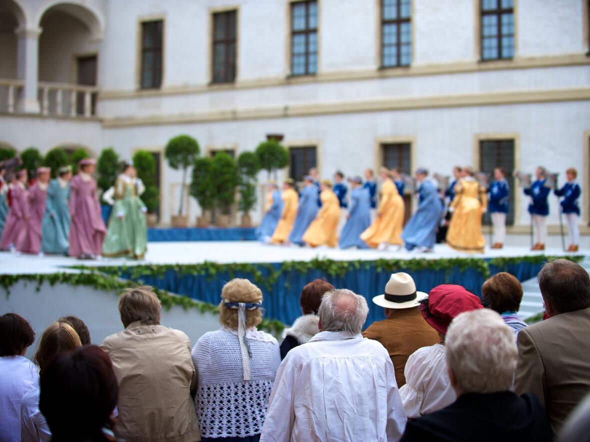 reichlich-besuch-im-schlosshof