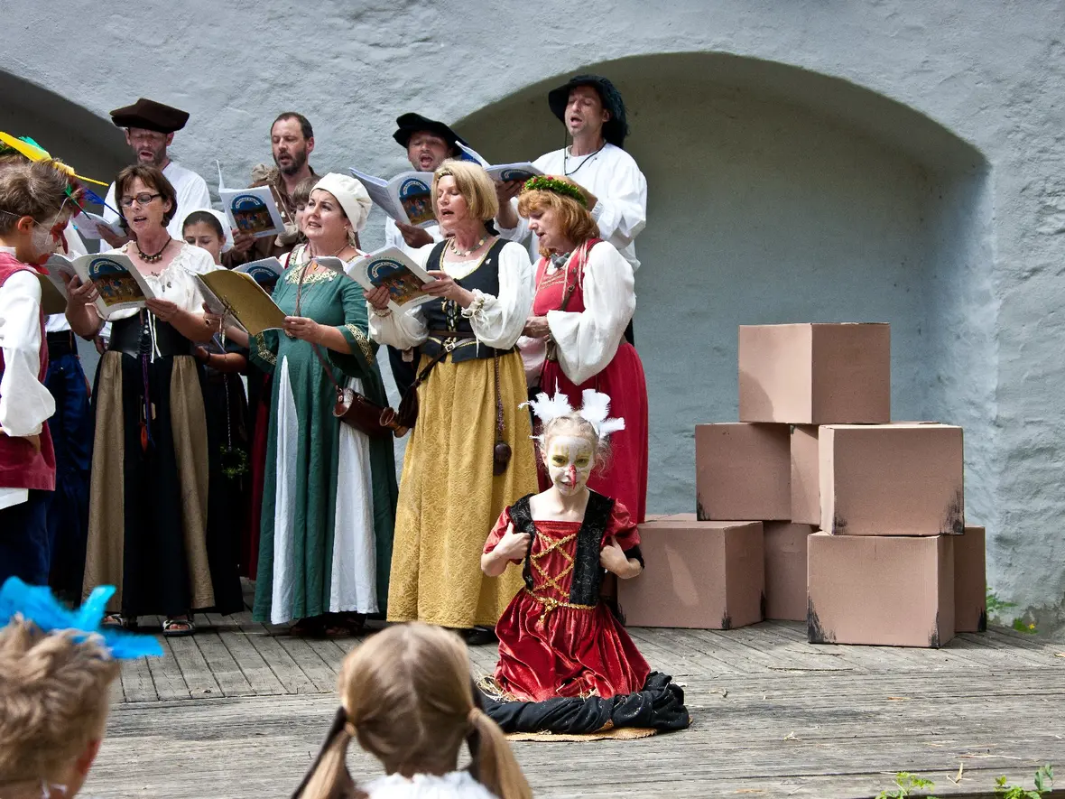 schlossfest-bilder-carmina-bestiarum-18