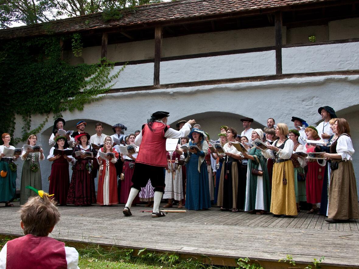 schlossfest-bilder-carmina-bestiarum-57