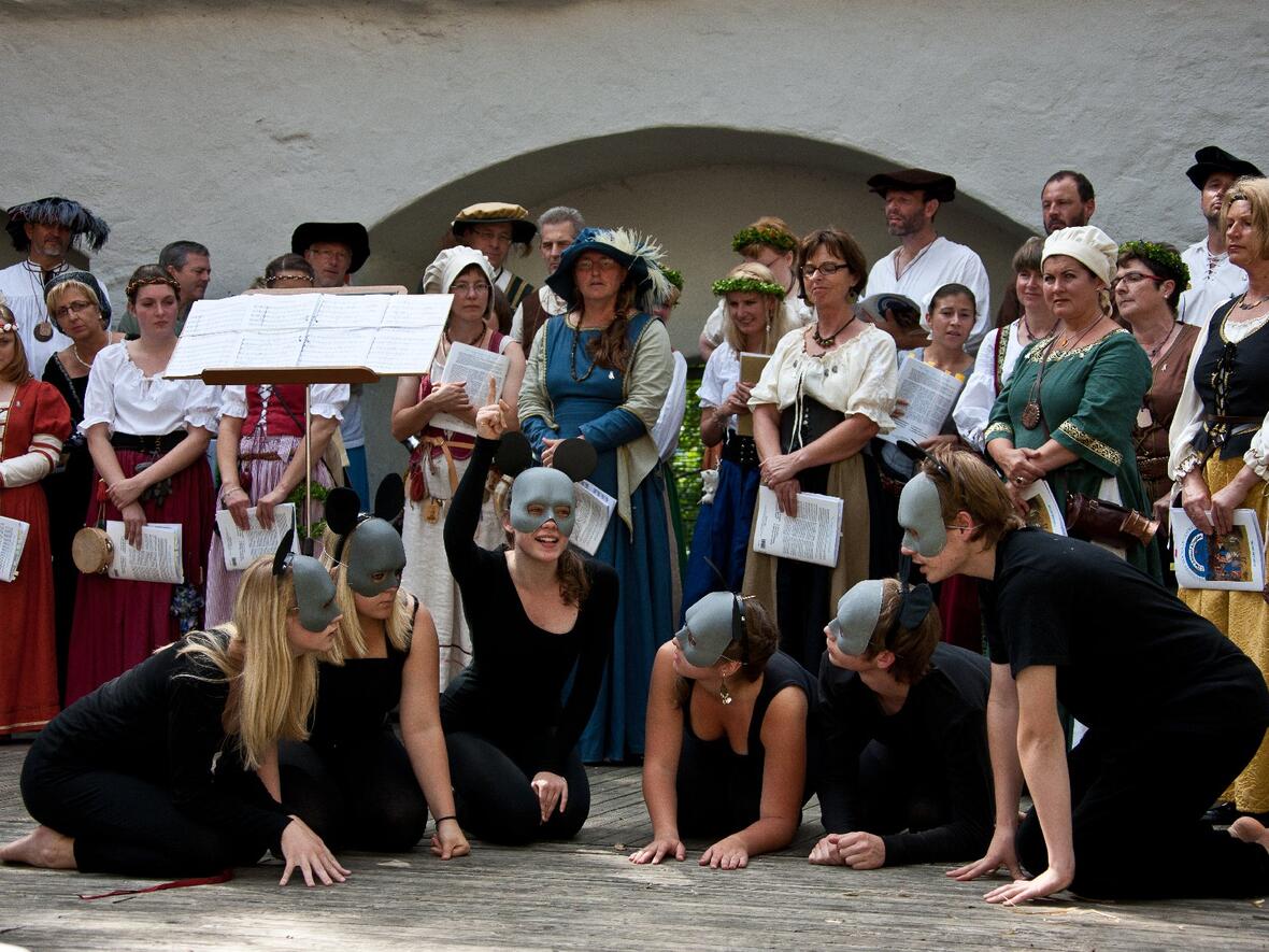 schlossfest-bilder-carmina-bestiarum-62