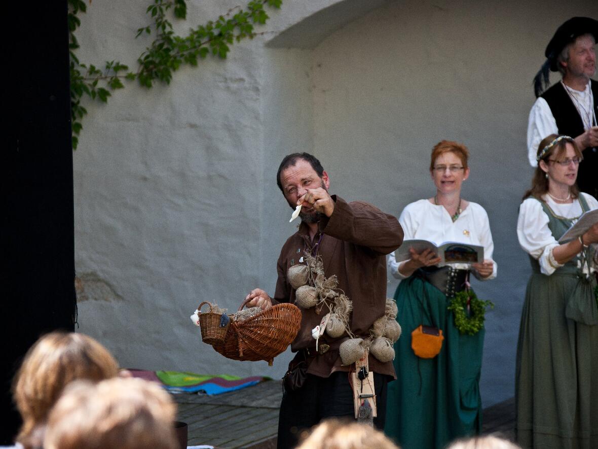 schlossfest-bilder-carmina-bestiarum-41