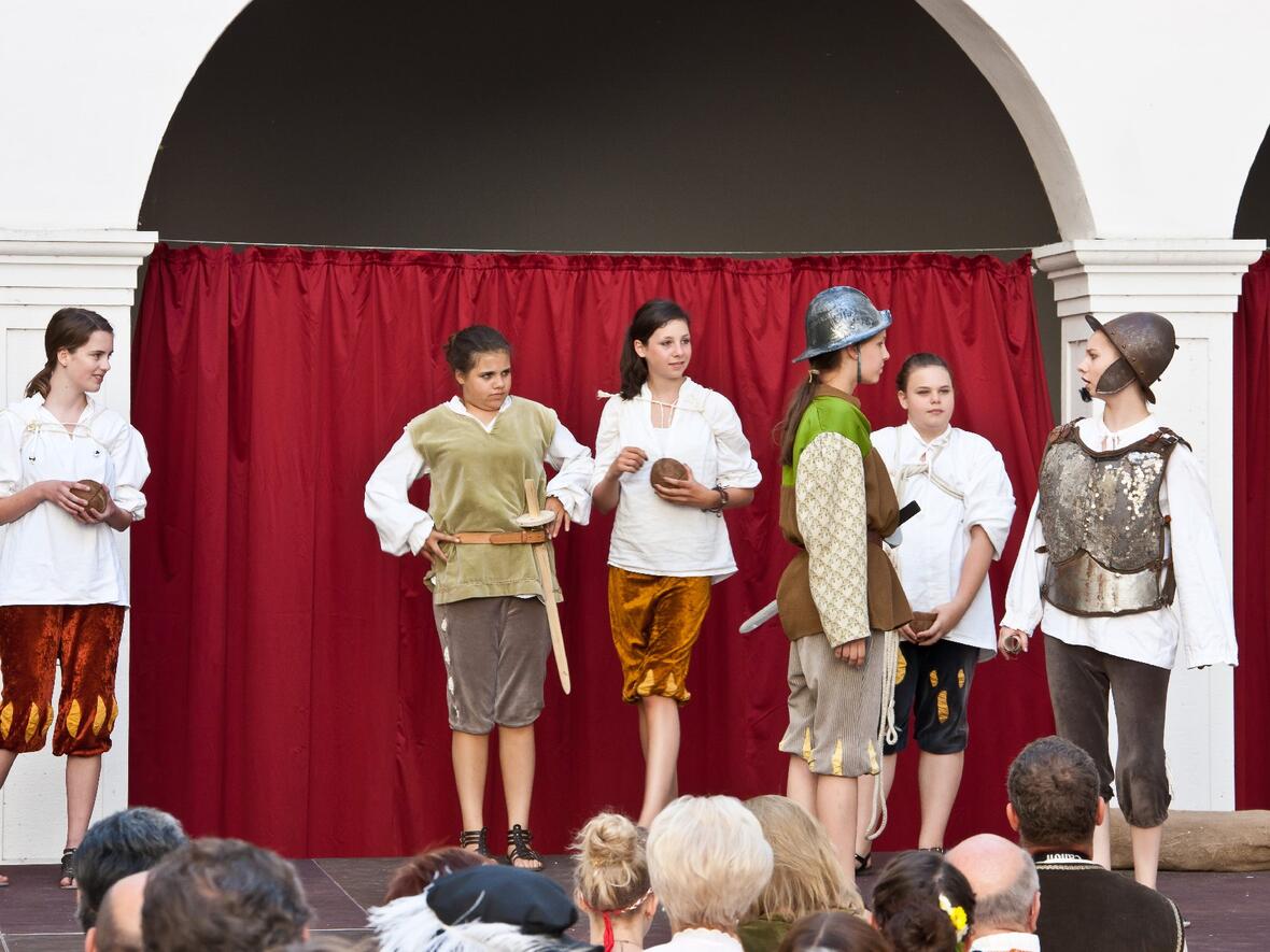 17-don-pedro-fordert-don-quijote-heraus