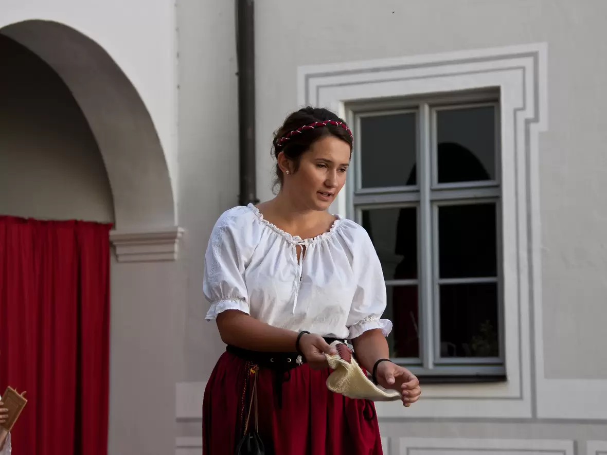 01-ana-die-dieneren-erklaert-die-geschichte-von-don-quijote