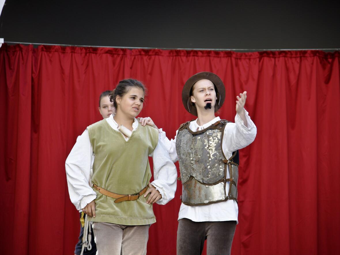 24-don-quijote-schwaermt-von-seiner-dulcinea