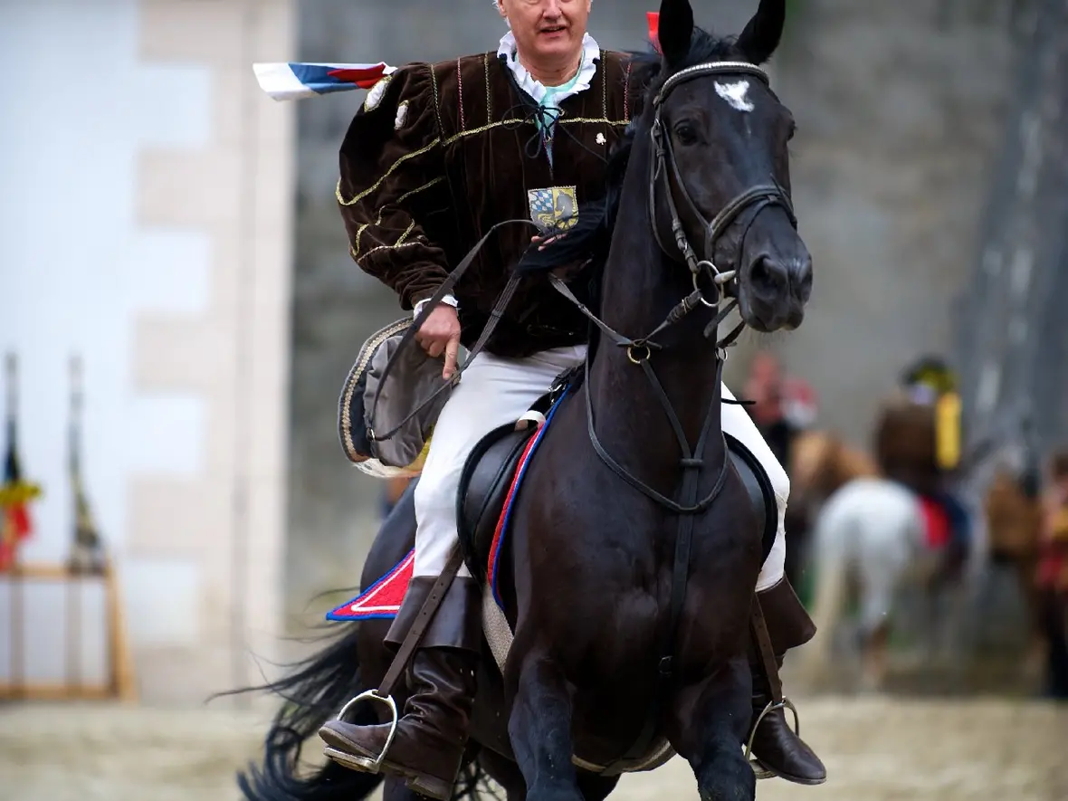 ritter-mit-dem-pferde