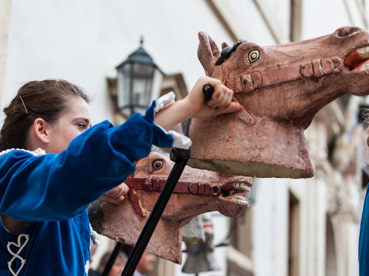 130628_steckenreitertanz_sb-007-pferdekopf