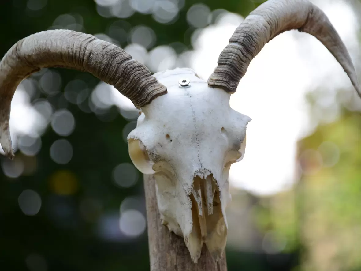 20190707-145651-a-meilinger