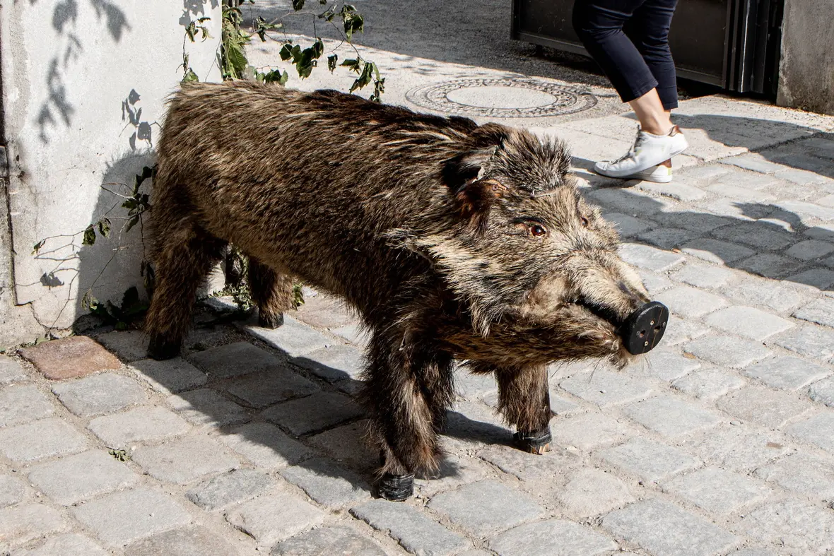 erstes_wochenende_111